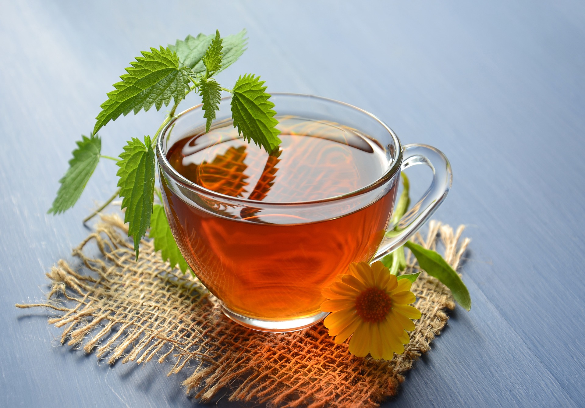 Herbal Tea Stations: Reboot Route